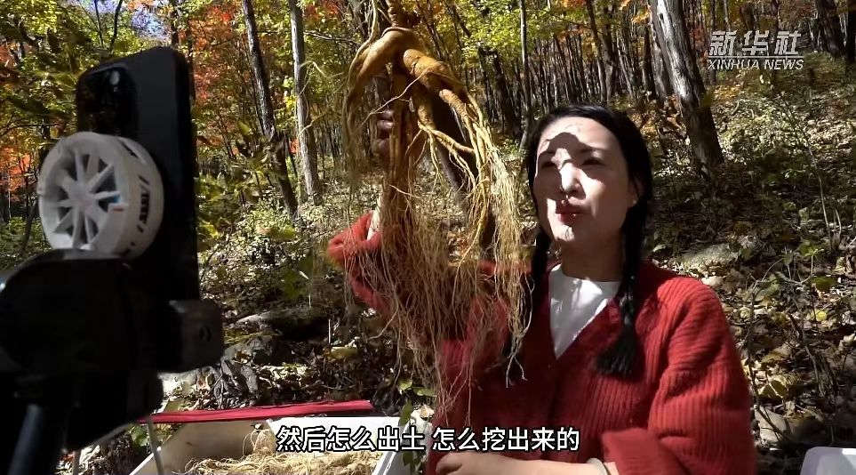 심산속 특산물 이렇게 천리밖으로 나간다