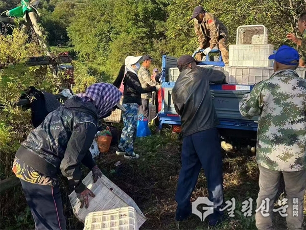 루가조선족향, 오미자 재배로 치부의 길 개척