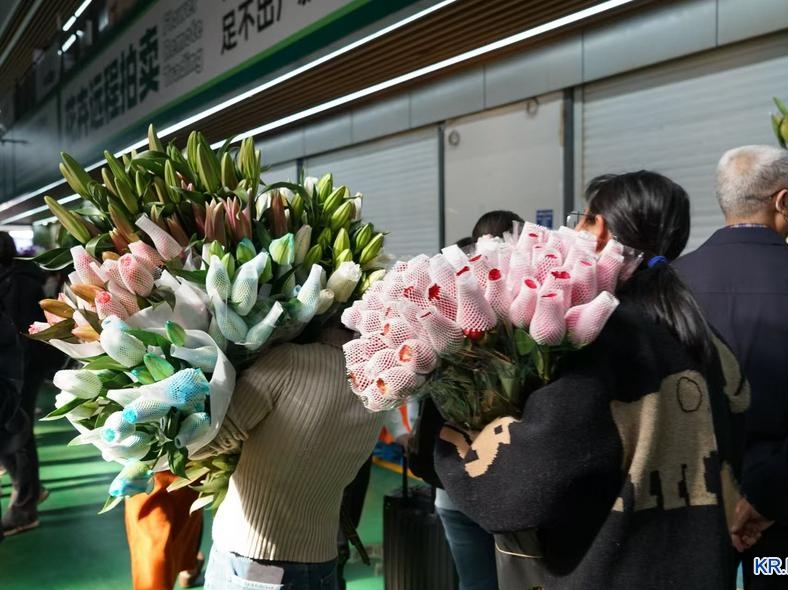 운남, 1월―4월 생화 수출액 3.6억원