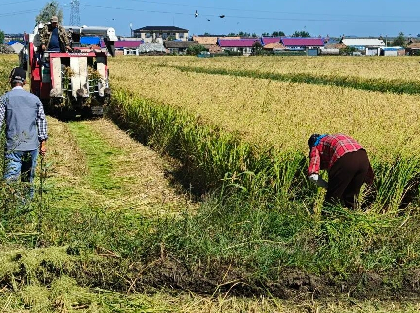 영길현, 현대화 대농업 발전으로 향촌진흥 다그쳐