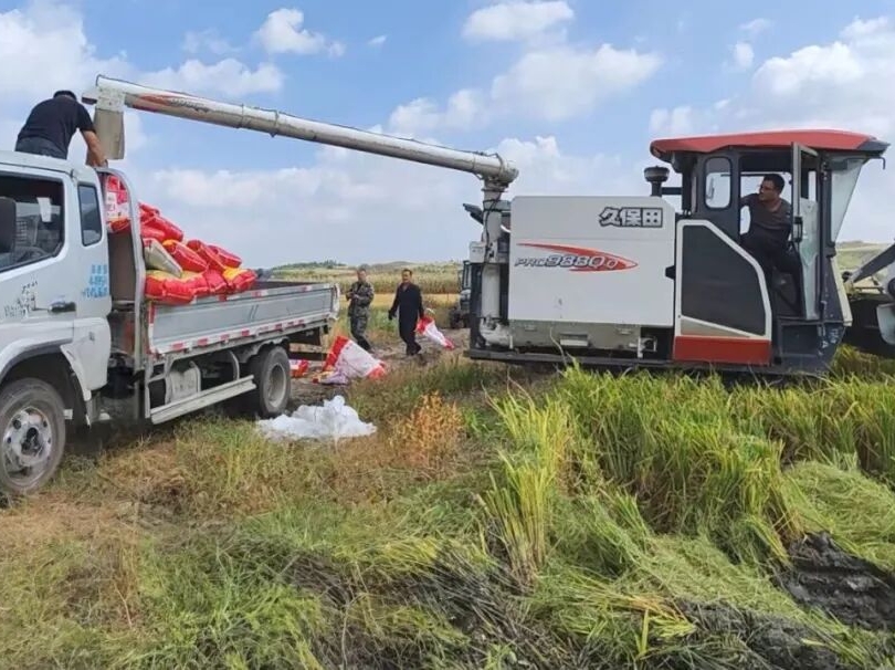 2025년 길림시 량식 생산량 사상 최고치 달성 전망