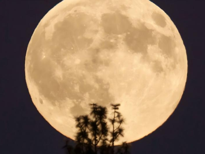 [과학] 슈퍼 달이 인간에게 미치는 영향은?