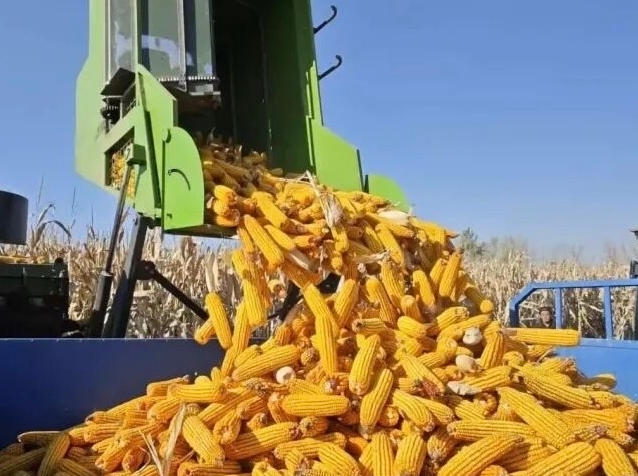 서란, 과학적 관리로  량식 생산량 ‘11년 련속 증산’ 전망