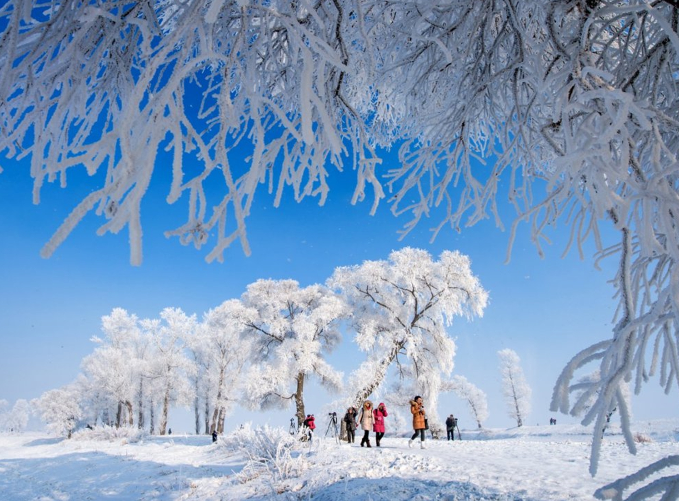 길림시 빙설시즌 곧 가동! 200여 가지 문화관광+ 행사들로 손님맞이