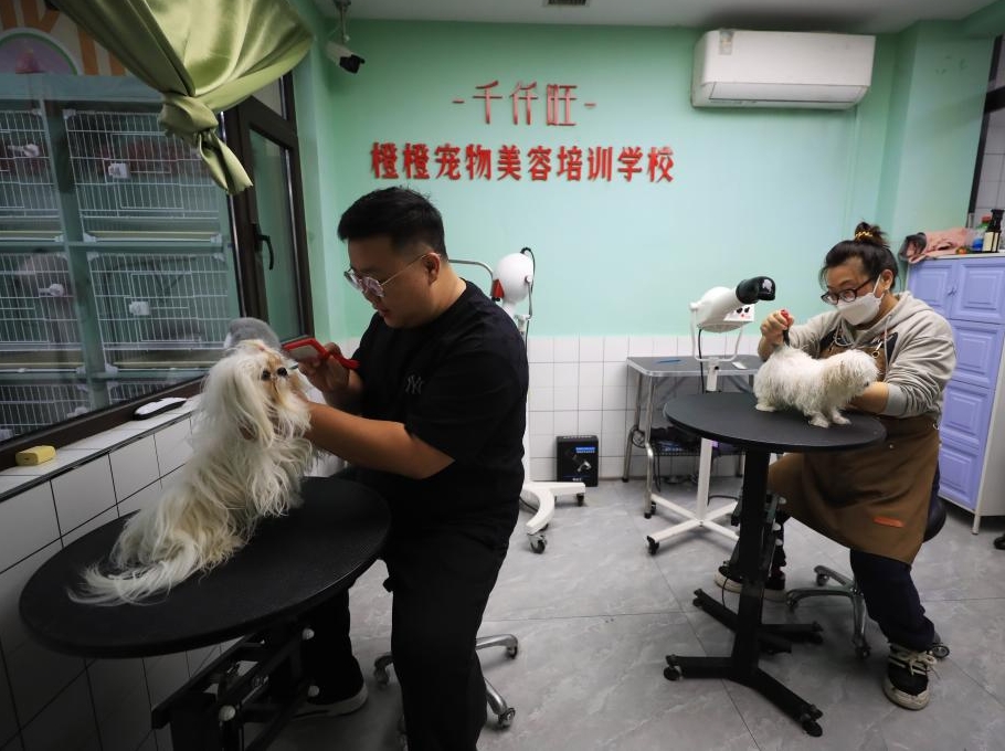 안산시, 반려동물경제로 도시 다원화 발전 견인