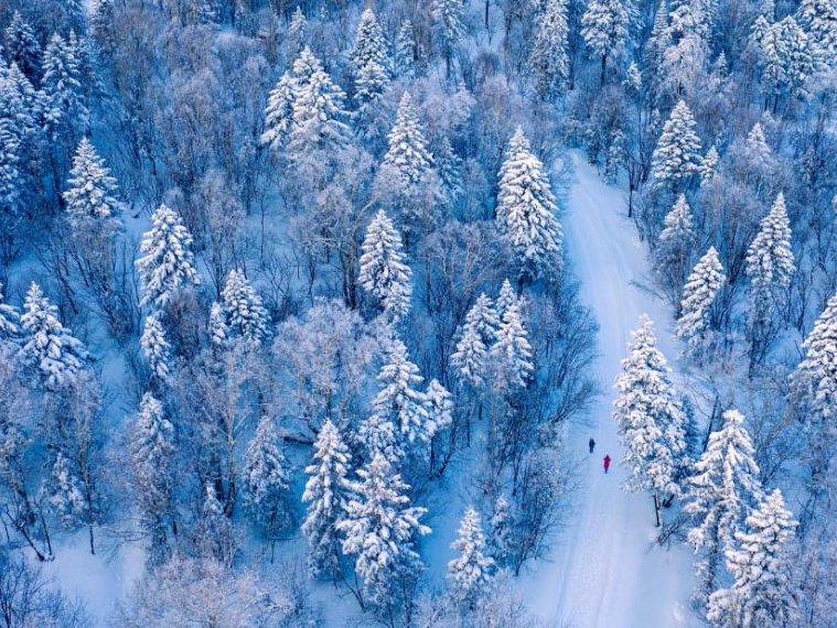 길림성, 려행객들의 겨울관광 첫 선택지로 매력 과시