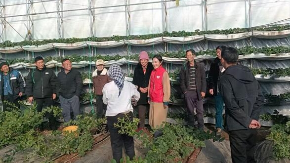 겨울철 비닐하우스 기술 열풍… 소득 증대 새 희망 키워