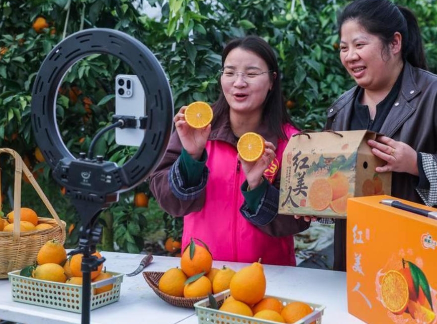 지난해 농촌 온라인 소매판매액 630조원 돌파...전자상거래 '한몫'