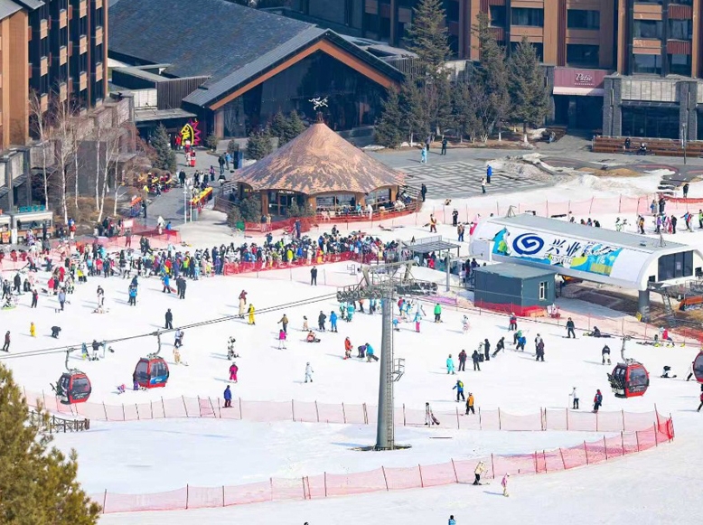 빙설의 반복적 도약, 그 해답은 어디에?&nbsp;