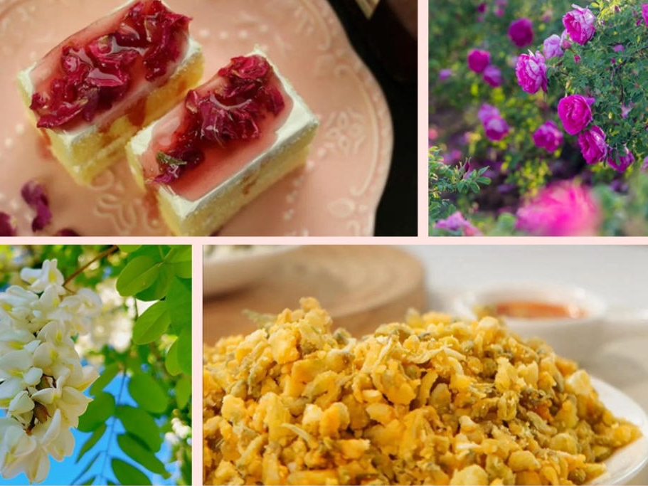 봄날 한정! 전국 7개 도시서 ‘꽃 료리’ 즐기기