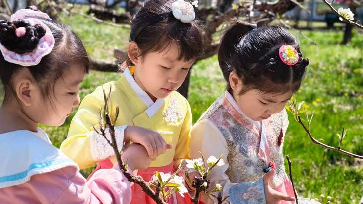 2026년 룡정 문화관광 꽃감상 시즌 개막