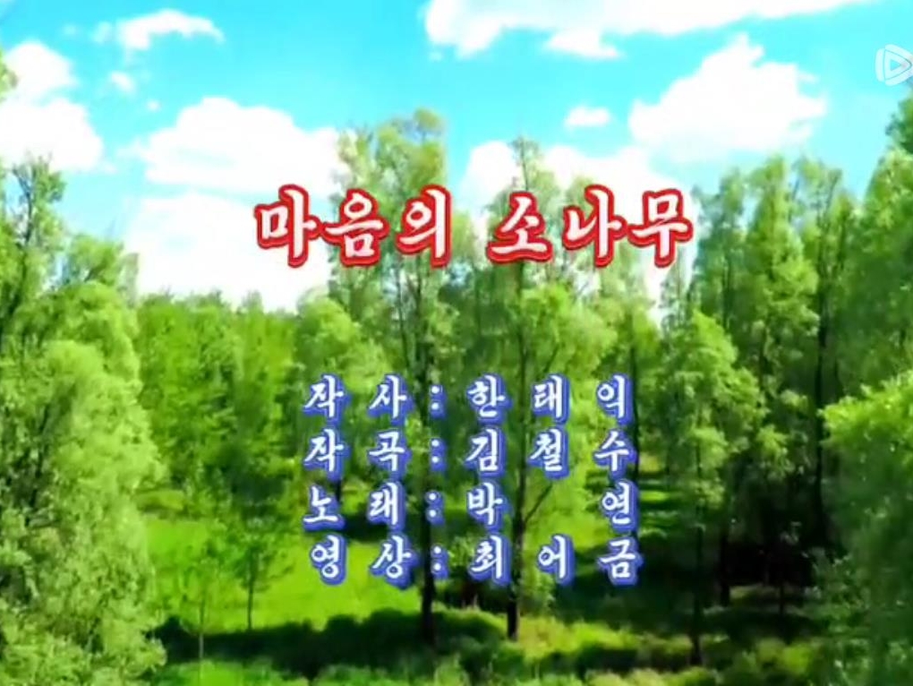 가요 | 마음의 소나무
