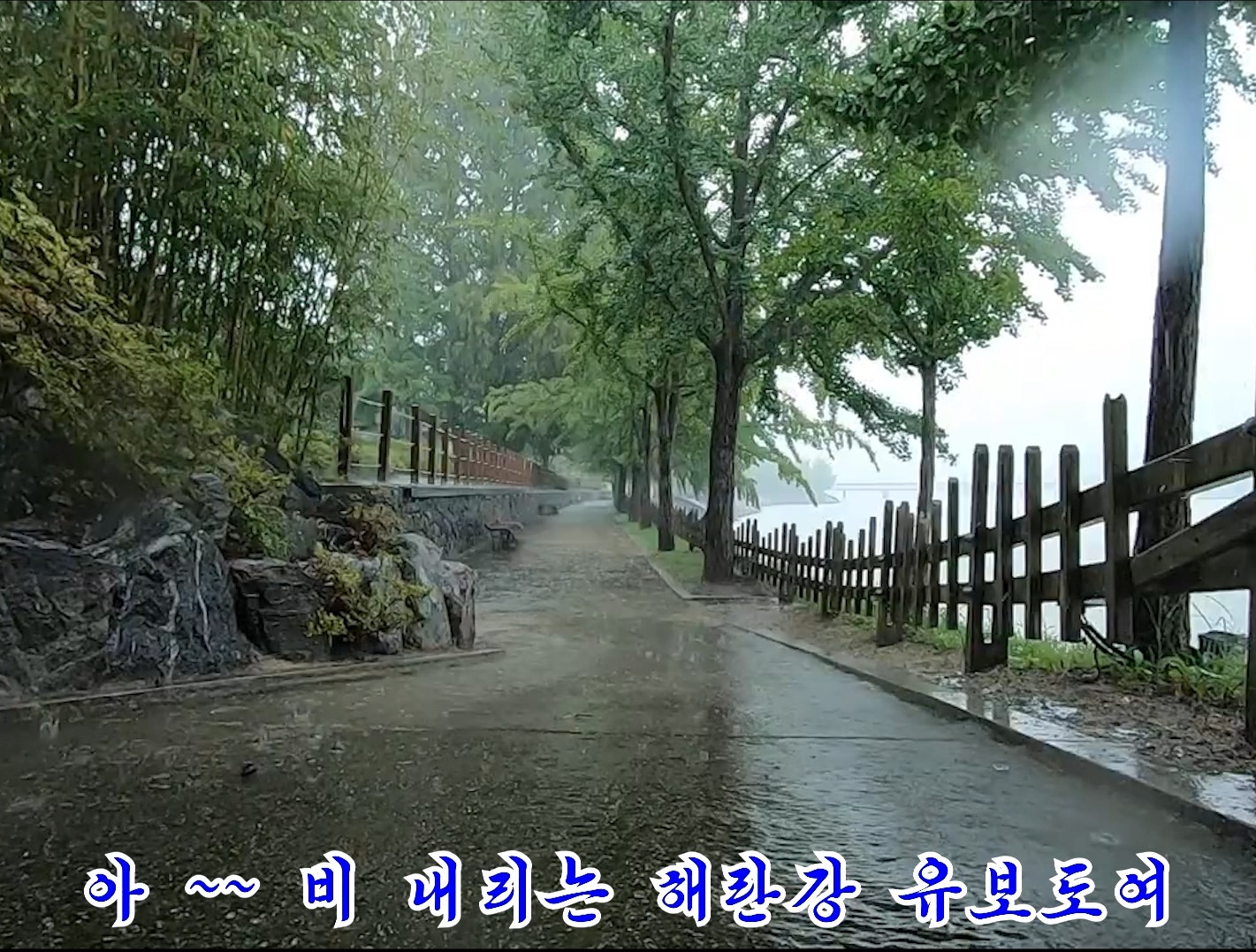 가요 | 비 내리는 해란강 유보도