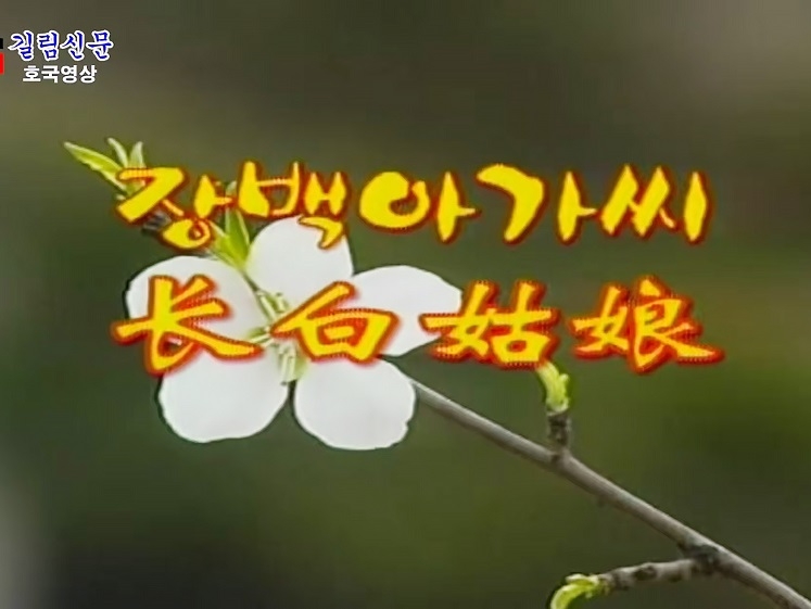 [추억의 영상가요] 장백 아가씨