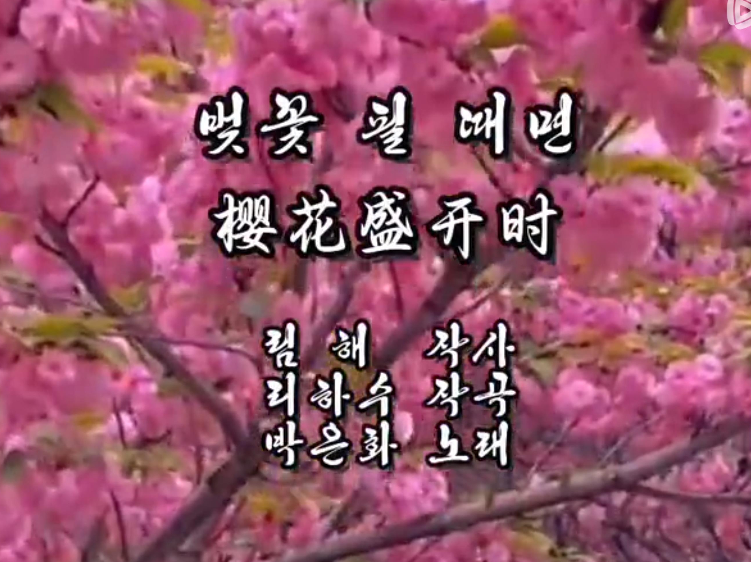 가요 | 벚꽃 필 때면