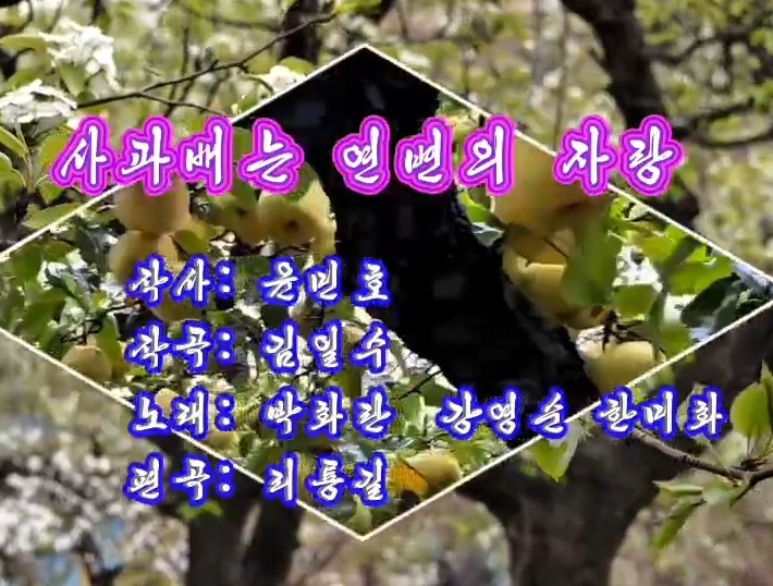 가요 | 사과배는 연변의 자랑