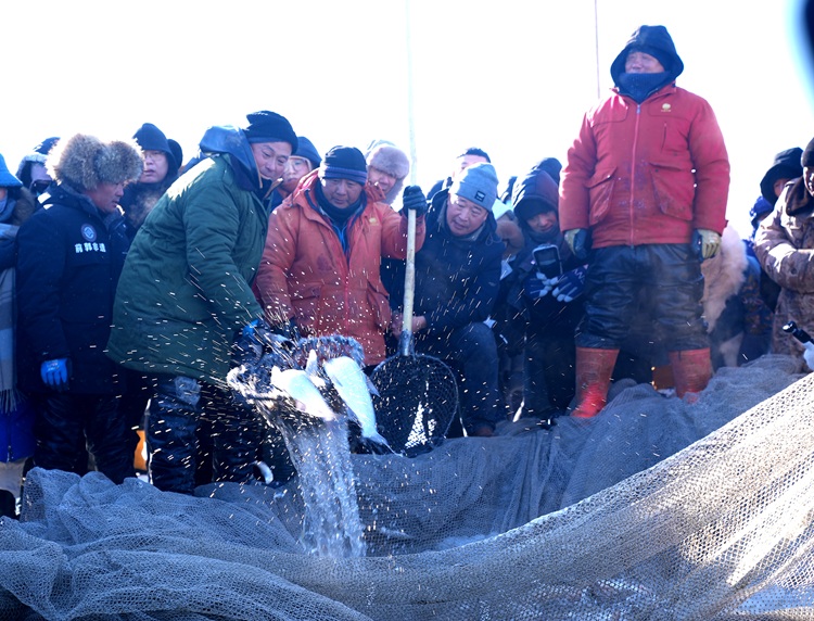 빙판 우의 축제, 챠간호 제24회 빙설어렵문화관광축제 현장