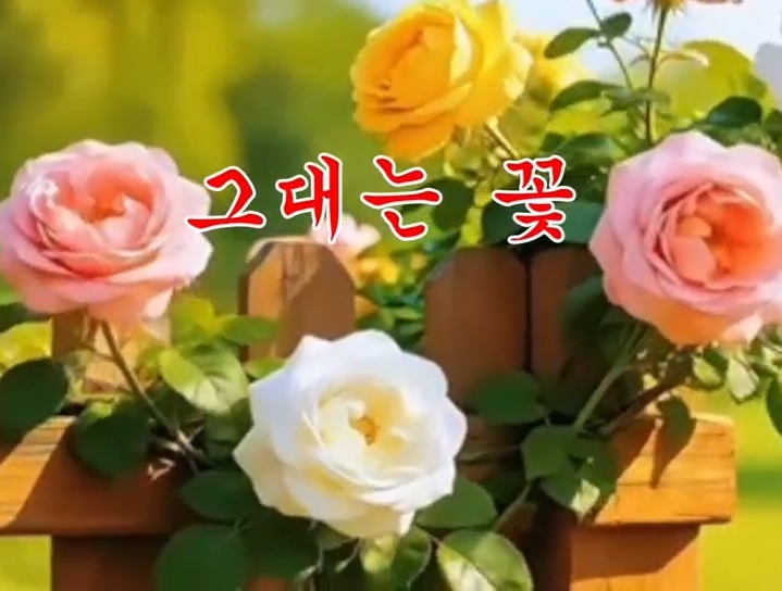 영상시 | 그대는 꽃