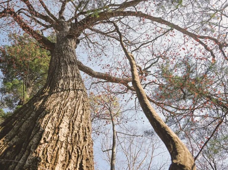 화전: 혁명정신 계승, 생태와 홍색관광 융합 신모델 구축