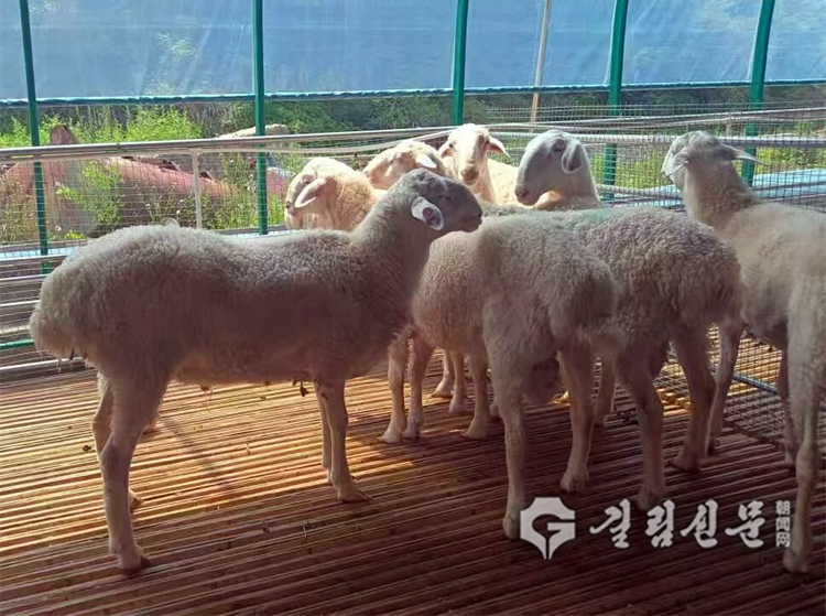 륙도구진, 민족 단결과 산업 발전으로 흥변부민 새 장 열어