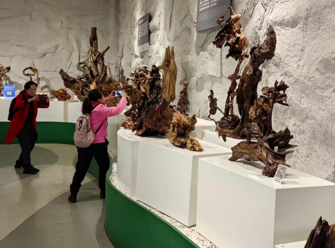 [박물관의 도시]천년의 조화가 빚어낸 기이함, 송화강 랑목 박물관에서 민니다