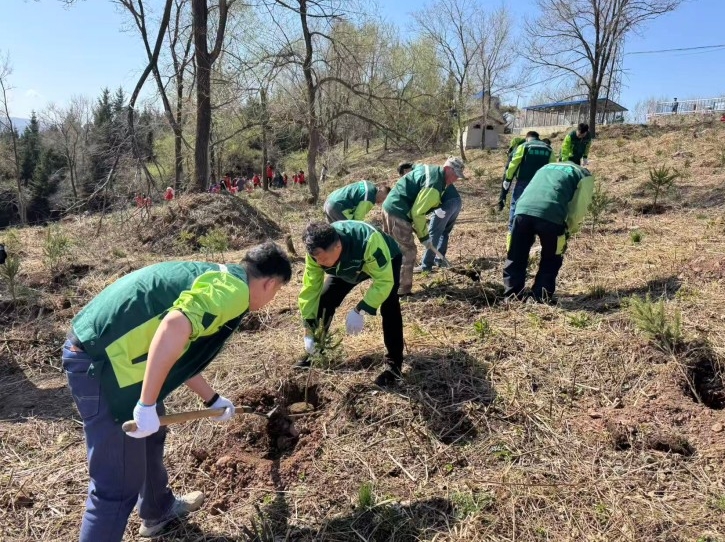 통화, 의무 식수 활동에서 1600여그루 나무 심어