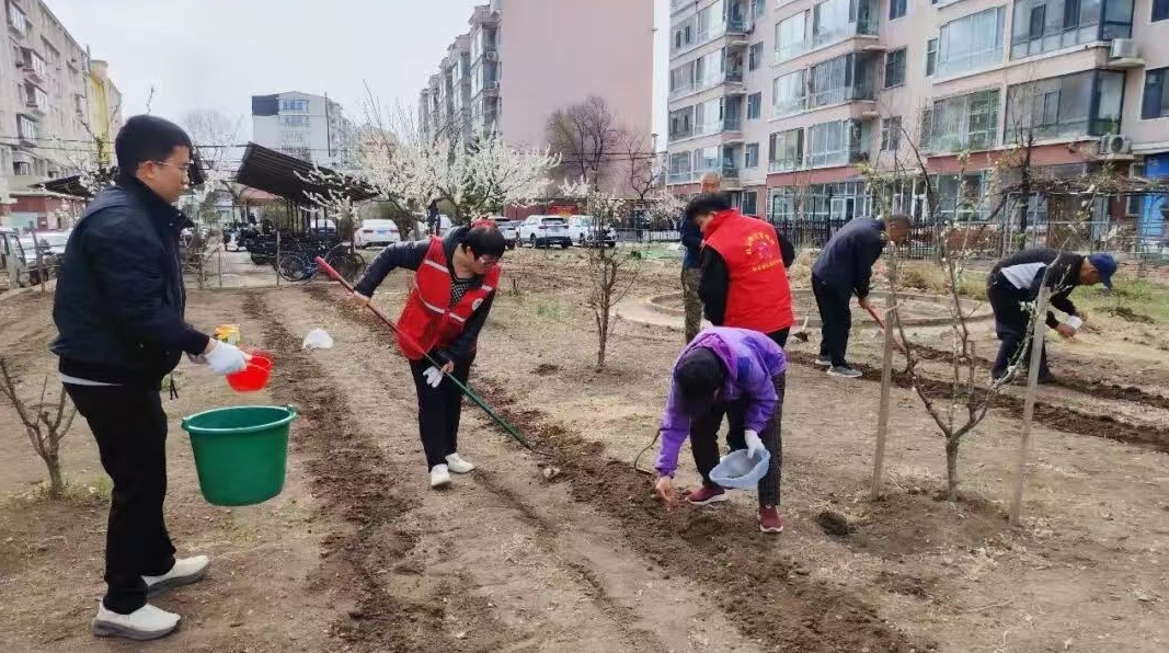 북산가두 단진구역 주민, 화단 가꾸기에 나서