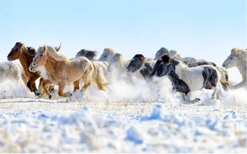 세상은 지금… 사진으로 보는 뉴스
