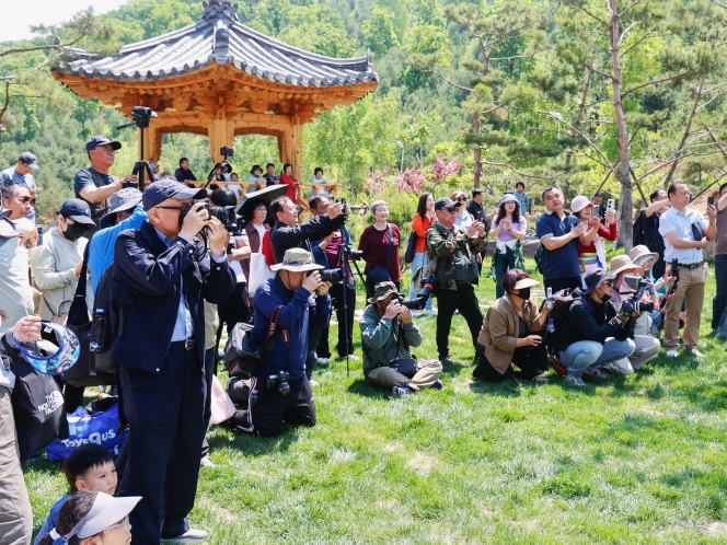 연변주 각급 문련, 기층에 심입해 다양한 문예봉사활동 활발히 진행