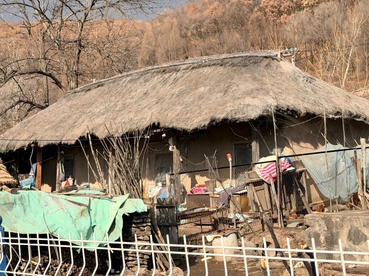 백년마을 대구촌, 전승의 새 길 모색
