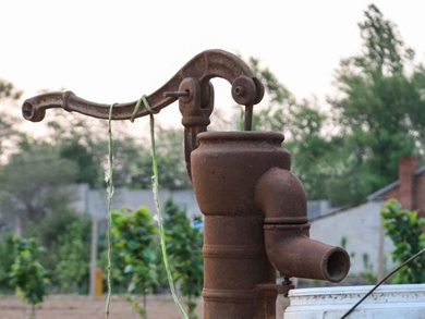 [수필] 우리 마을 보배였던 뽐프이야기