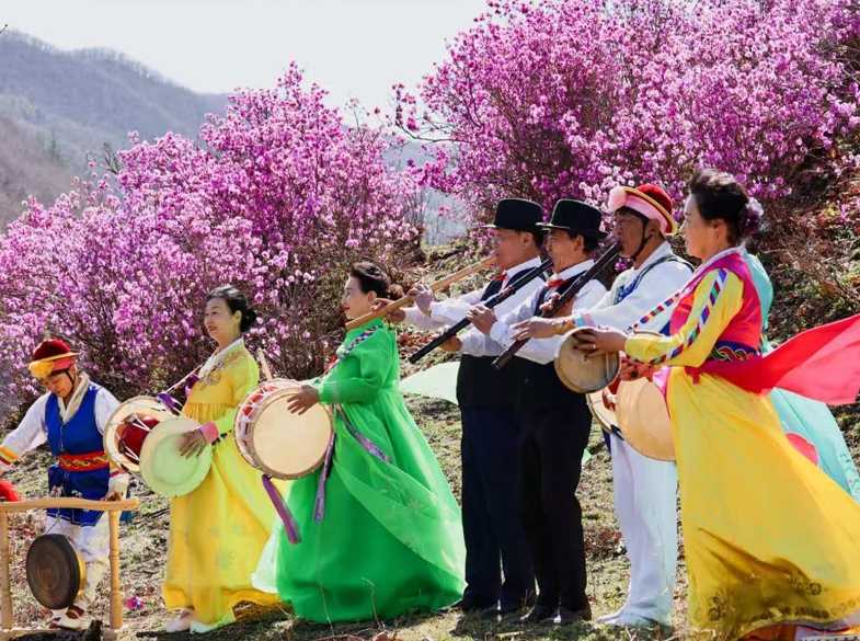 봄꽃의 향연, 진달래를 찾아서